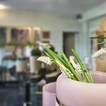 Winzerstuebchen 3* Brauneberg