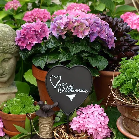 Winzerstuebchen 3* Brauneberg